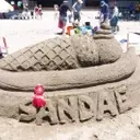 Bay Area Summer Adventures: A Parent's Guide to Unique Family Fun