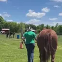 Empowering Young Hearts: A Unique Equestrian Initiative in Michigan