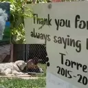 A Beloved Canine Companion: Remembering Torren