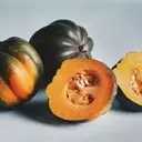 A Guide to Autumn and Winter Squash Varieties