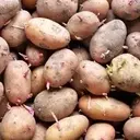 The Art of Perfectly Boiled Potatoes: A Comprehensive Guide