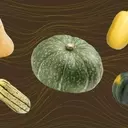 Kabocha Squash: The Culinary Secret Chefs Are Raving About