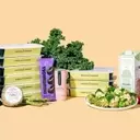 Top Vegan Meal Delivery Services Unveiled: A Comprehensive Review