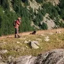 Patous et randonneurs : une cohabitation montagnarde délicate