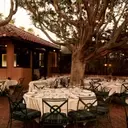 A Culinary Journey Through Palm Springs: Top Dining Destinations