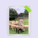 Scary Mommy's 2026 Readers' Choice Awards for Premier Farm Stays Revealed