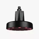 The Dawn of Red Light Shower Technology: A New Era for Wellness