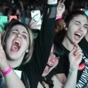 The Evolution of Fandom and its Commercial Impact
