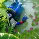The Enigma of Lobsters in Marathon: Unraveling a Game's Deepest Secret