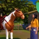 A Quiz on Iconic Video Game Horses