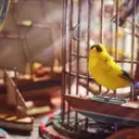 Comprehensive Guide to the Avian Alarm Project in Arc Raiders