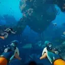 Subnautica 2's Early Access Launch: A Saga of Delays and Dedication