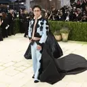 Hudson Williams' Stunning Met Gala Debut: A Fusion of Fashion and Film