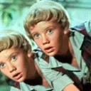 Child Star Hayley Mills Lost Vast Fortune Due to 'Crook' Financial Advisor