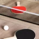 Le Tennis de Table : Un Sport Sans Saisonnalité