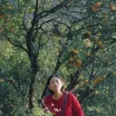Critically Acclaimed 'Shape of Momo' Secures Indian Theatrical Release, Backed by Prominent Industry Figures