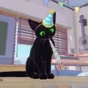 Little Kitty, Big City's Second Anniversary: A Purr-fect Update