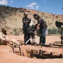 Australia's Screen Industry: Thriving with Future Challenges