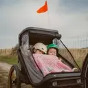 Choisir la Remorque Vélo Enfant Idéale : Guide Complet et Comparatif 2026