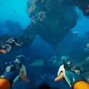 Optimizing Subnautica 2: Boost Your Frame Rate with Key Settings Adjustments