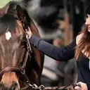 Débuter l'équitation : Votre guide complet