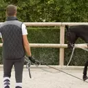 Maîtriser l'Extension d'Encolure du Cheval : Guide Complet et Conseils Pratiques