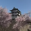 Forza Horizon 6: A Comprehensive Guide to Discovering Japan's Hidden Gems
