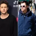 Niall Horan Opts Out of Harry Styles and Zoë Kravitz's Wedding