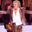 Grammy Salute to Rod Stewart: How to Stream 'Forever Young' Concert