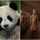 Fremantle's Beach House Pictures Unveils New Documentaries: 'Panda School' and 'Secret Weapons of China's First Emperor'