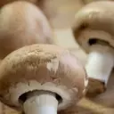 South Mill Champs Challenges US Mushroom Duty Decision