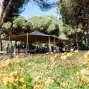 CAA and Finch & Partners Host Cannes Symposium on the Future of Cinema