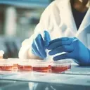 Canaccord Genuity Raises Price Target for Biodesix Amid Strong Q1 Results