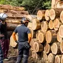 Weyerhaeuser: Navigating the Downturn and Future Prospects