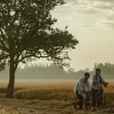 China's Box Office Sees "Dear You" Maintain Lead, "Mandalorian and Grogu" Debuts
