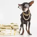 Strategic Cash Allocation: Re-evaluating Investments in Treasury Bonds