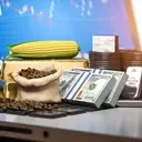 Commodities: The New Frontier in Economic Security and Investment Portfolios
