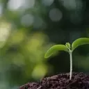 Sprout Social: AI Concerns Overstated, Undervalued Growth Opportunity
