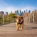 June's Top Dividend Dog: Verizon's Enduring Value