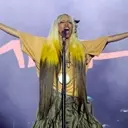 Roots Picnic 2026: A Festival of Unforgettable Performances