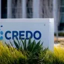 Credo Technology Group Stock Performance Analysis Post-Q4 Earnings
