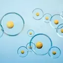 Edgewise Therapeutics: A New Horizon in Cardiovascular Drug Development