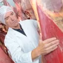 JBS N.V. Remains a Promising Large Cap Investment Opportunity