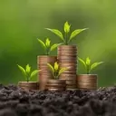 A Detailed Comparison of Leading Dividend Growth ETFs: SCHD vs. VYM