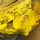 Uranium Exploration: The Synergy Between Major and Junior Mining Companies