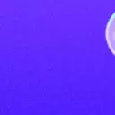 The Evolution and Reality of the AI Bubble