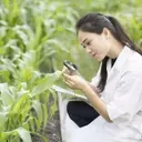 Darling Ingredients Inc. Stock: A Bullish Outlook