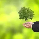 LendingTree's Insurance Sector Fuels Growth Amidst Market Volatility