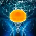 enGene Therapeutics: A High-Risk, High-Reward Investment Opportunity