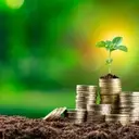 Wasatch Small Cap Growth Fund: Navigating Market Volatility in Q1 2026